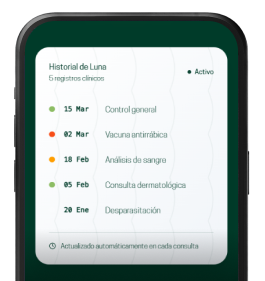 App Vista